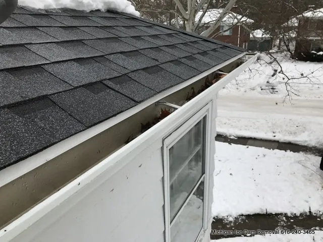 Slide of Roof Cleaner