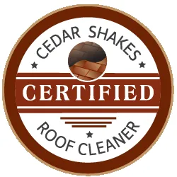 Slide of Roof Cleaner