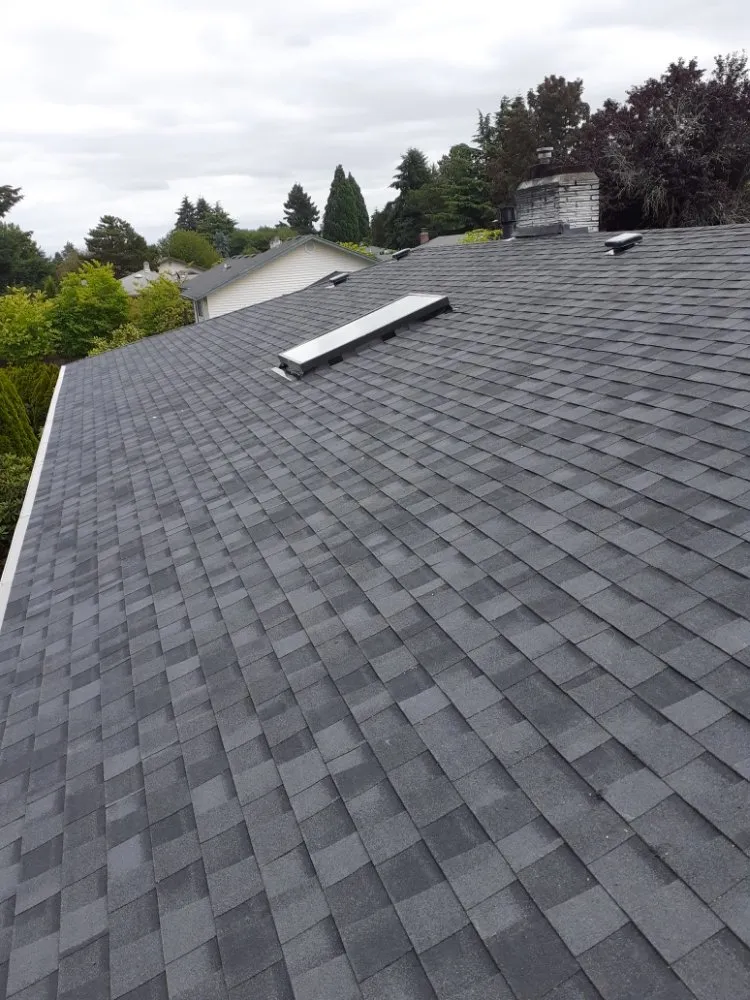 Slide of Roof Cleaning & Gutter Cleaning