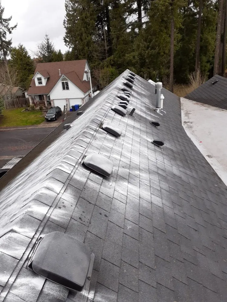 Slide of Roof Cleaning & Gutter Cleaning