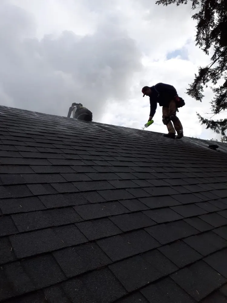 Slide of Roof Cleaning & Gutter Cleaning