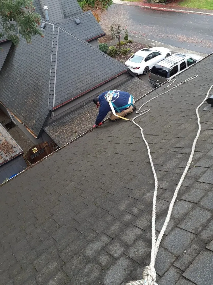 Slide of Roof Cleaning & Gutter Cleaning