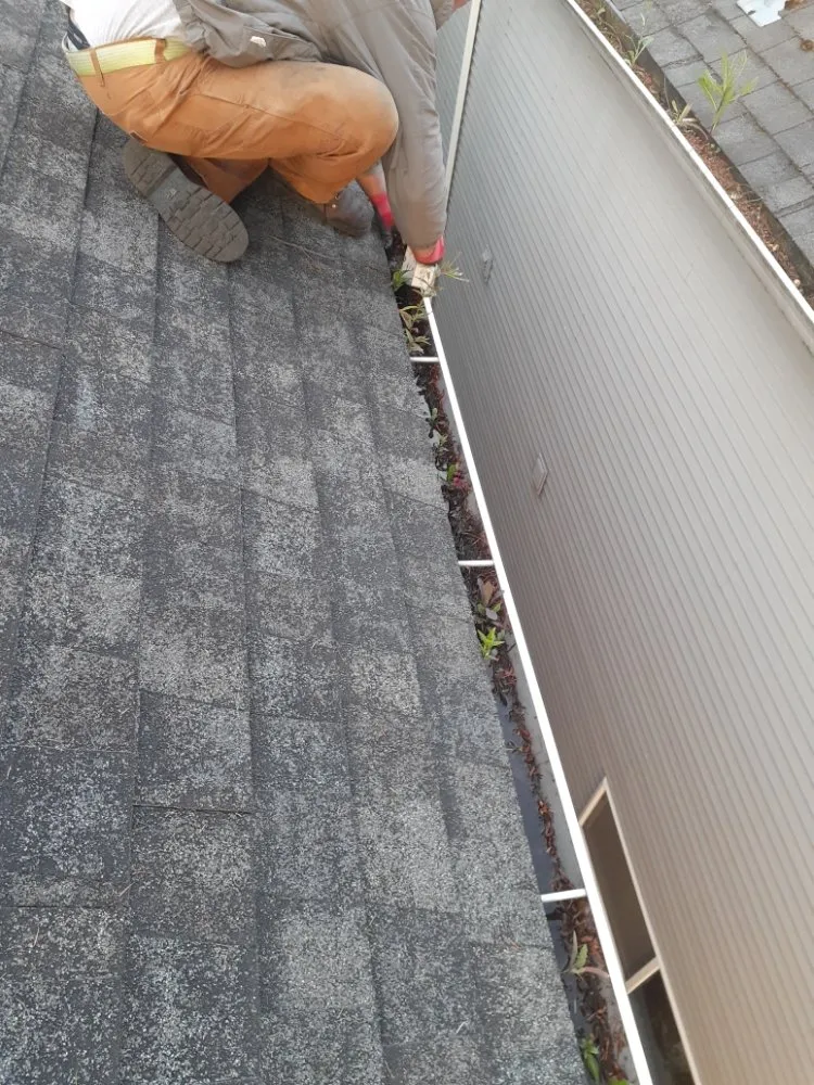 Slide of Roof Cleaning & Gutter Cleaning