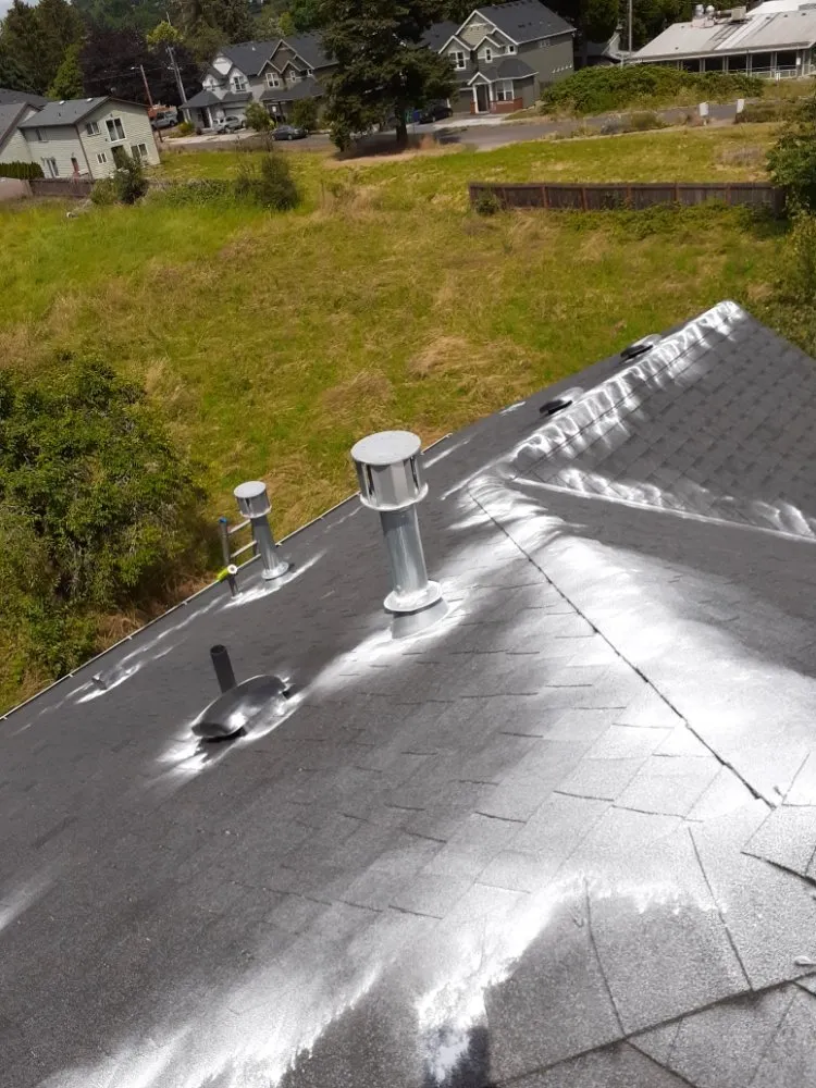 Slide of Roof Cleaning & Gutter Cleaning
