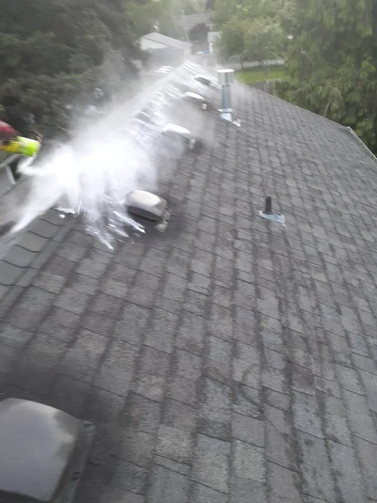 Slide of Roof Cleaning & Gutter Cleaning