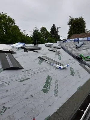 Roof Cleaning & Gutter Cleaning Logo