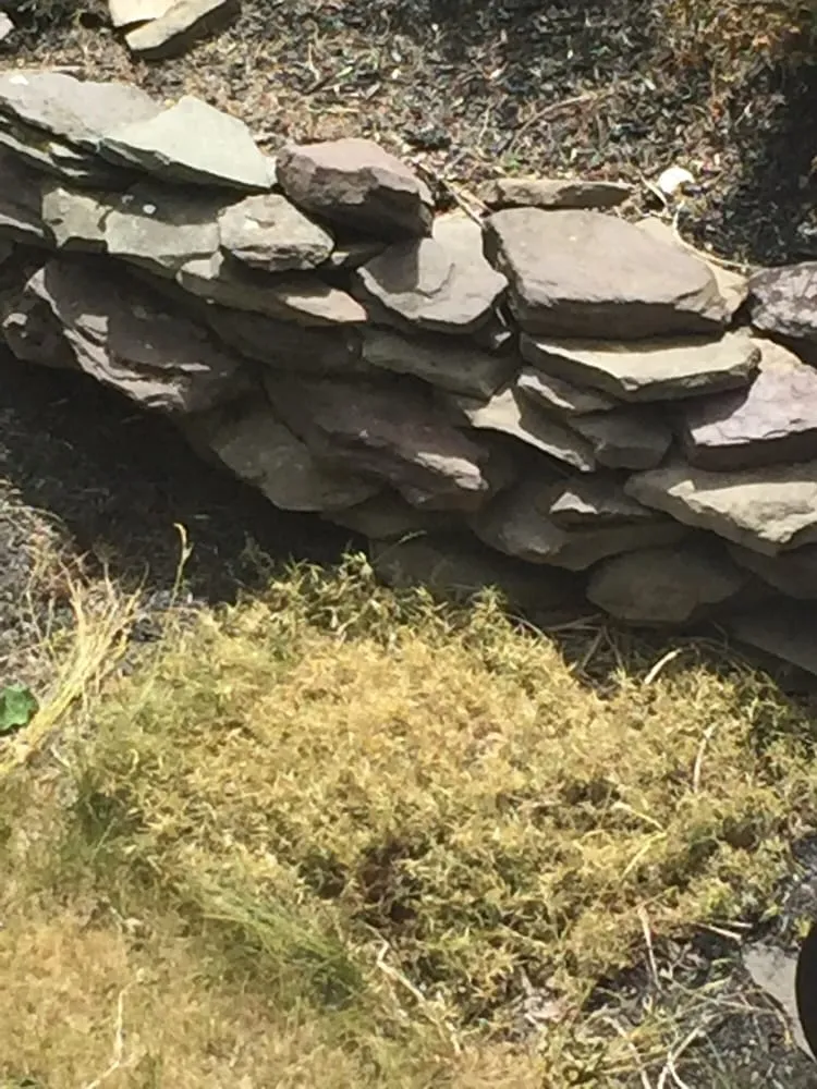 Slide of Roof Cleaning Pros