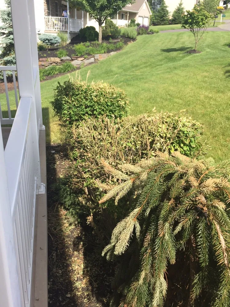 Slide of Roof Cleaning Pros