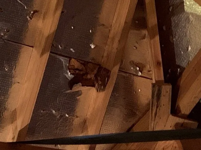 Slide of Roof Concepts & Construction