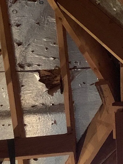 Slide of Roof Concepts & Construction