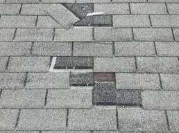 Slide of Roof Doctor and Gutter Releaf