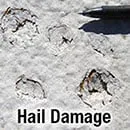 Slide of Roof Doctor