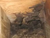 Slide of Roof Doctor