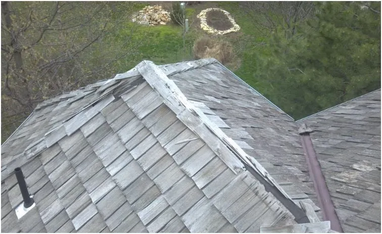 Slide of Roof Doctor