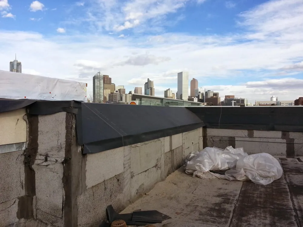 Slide of Roof Evolution