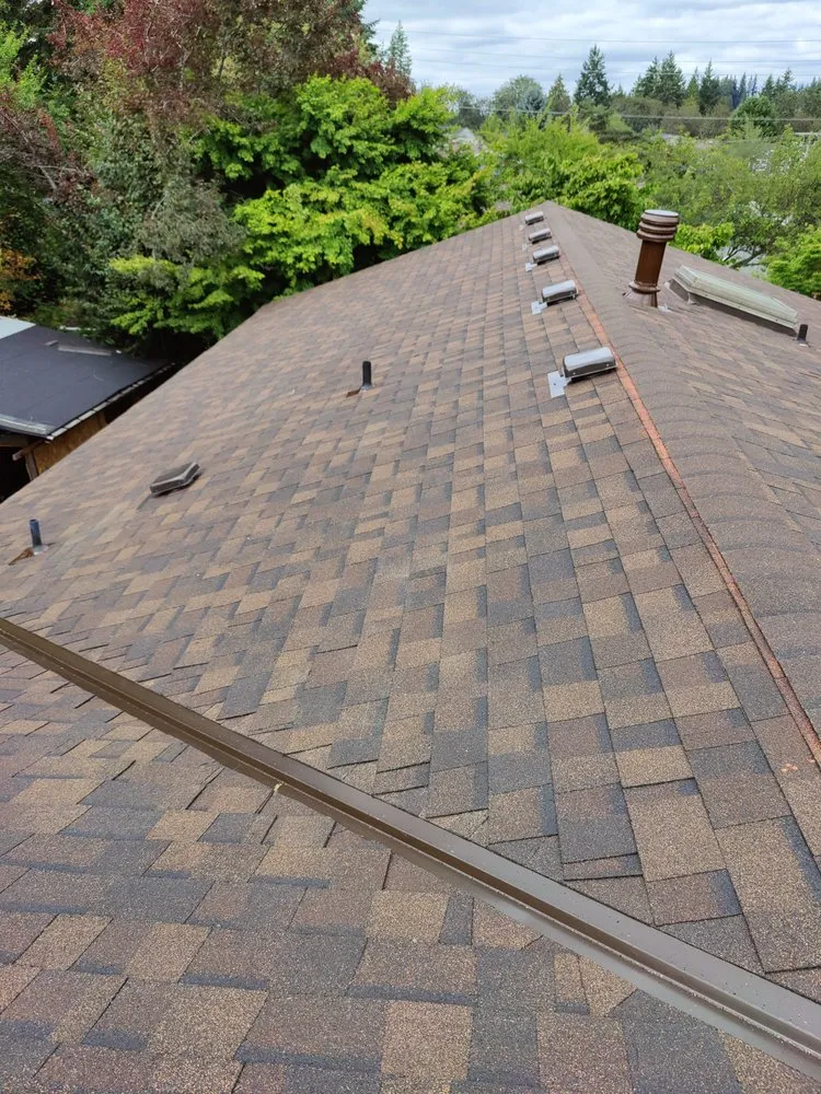 Slide of Roof for Life