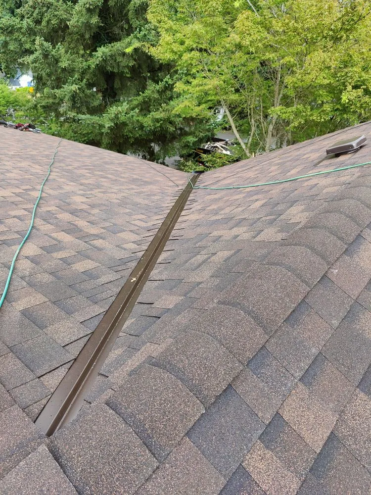 Slide of Roof for Life