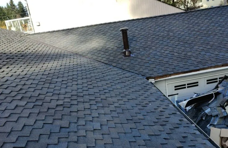 Slide of Roof for Life