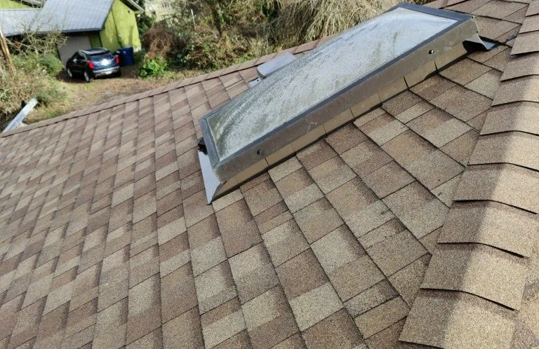 Slide of Roof for Life