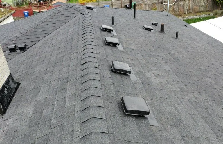 Slide of Roof for Life