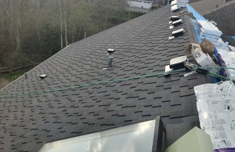 Slide of Roof for Life