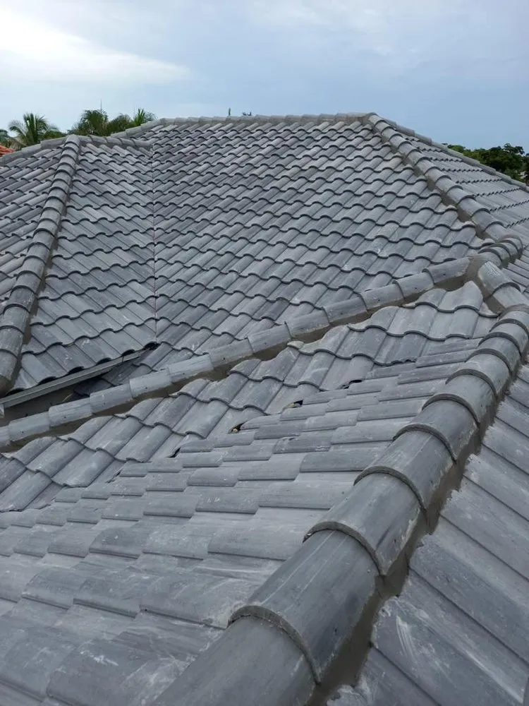 Slide of Roof Giants