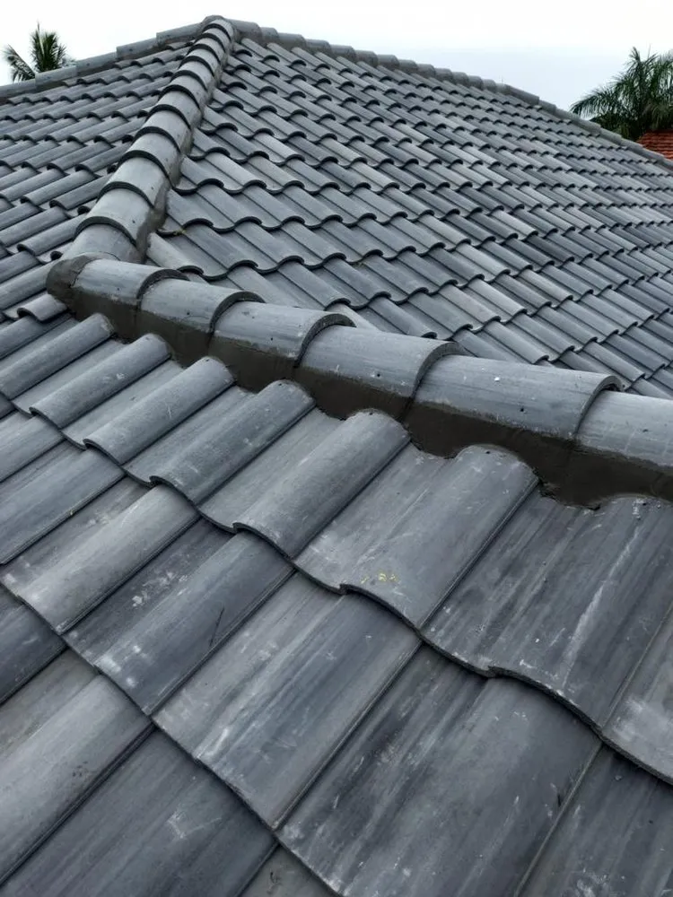 Slide of Roof Giants
