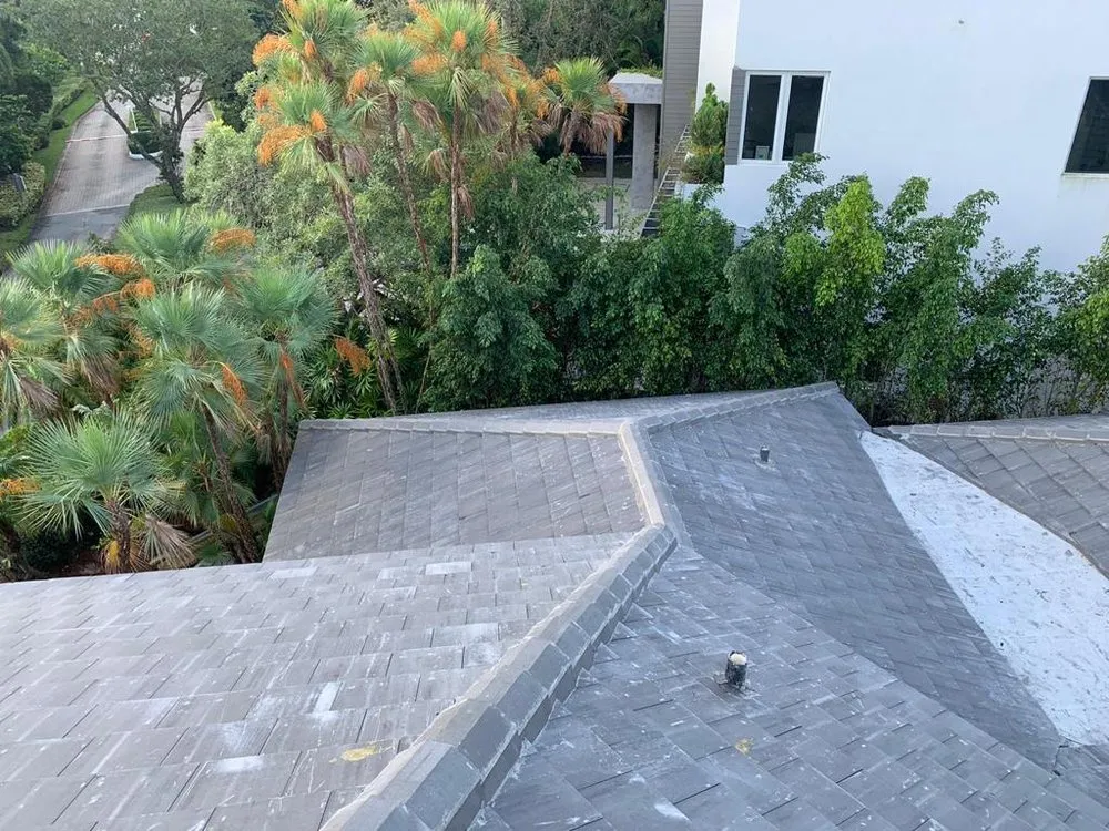 Slide of Roof Giants