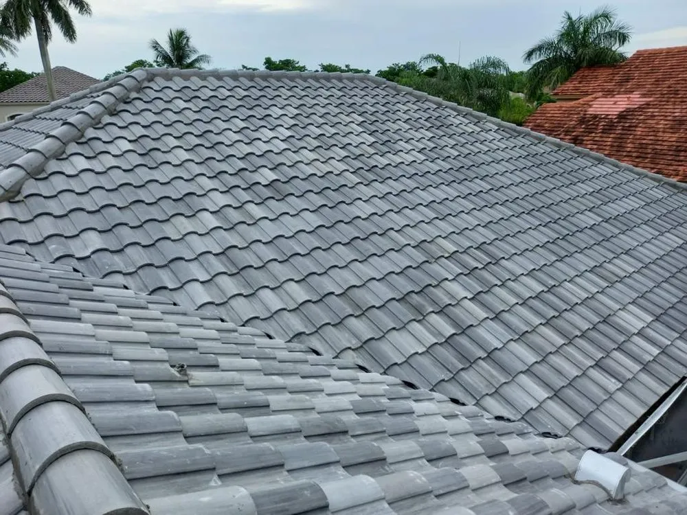 Slide of Roof Giants