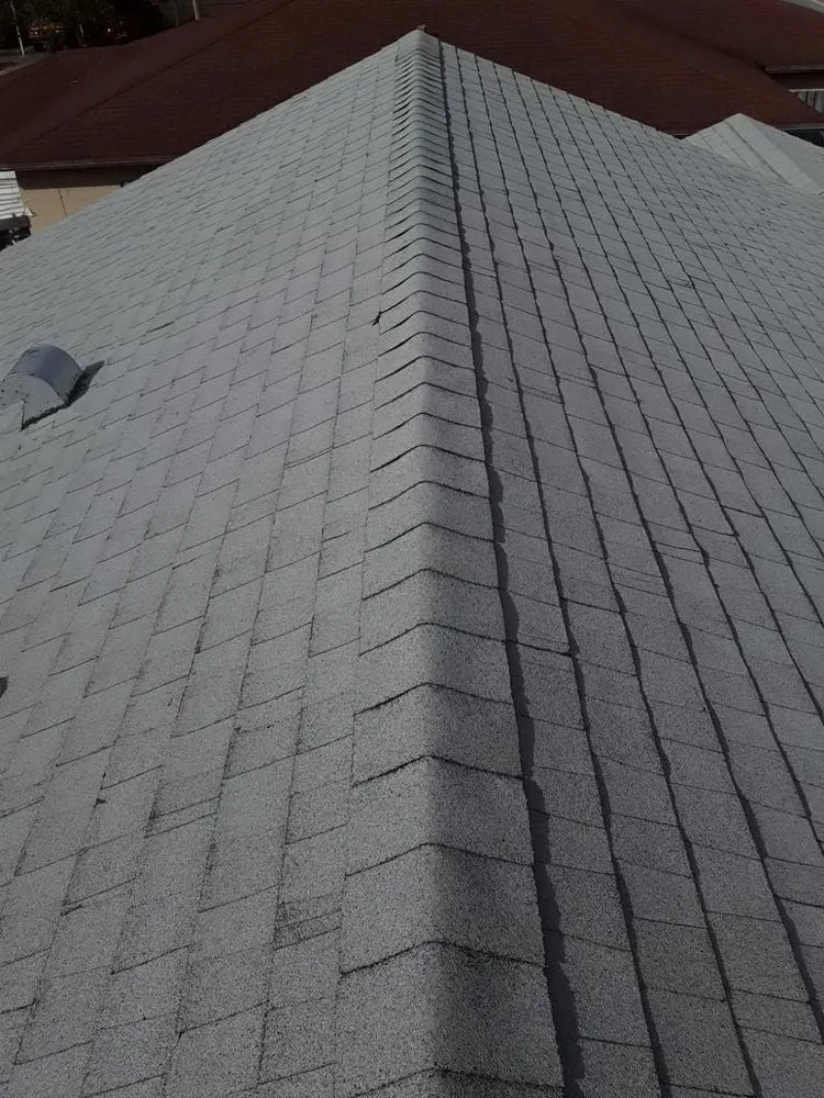 Slide of Roof Giants