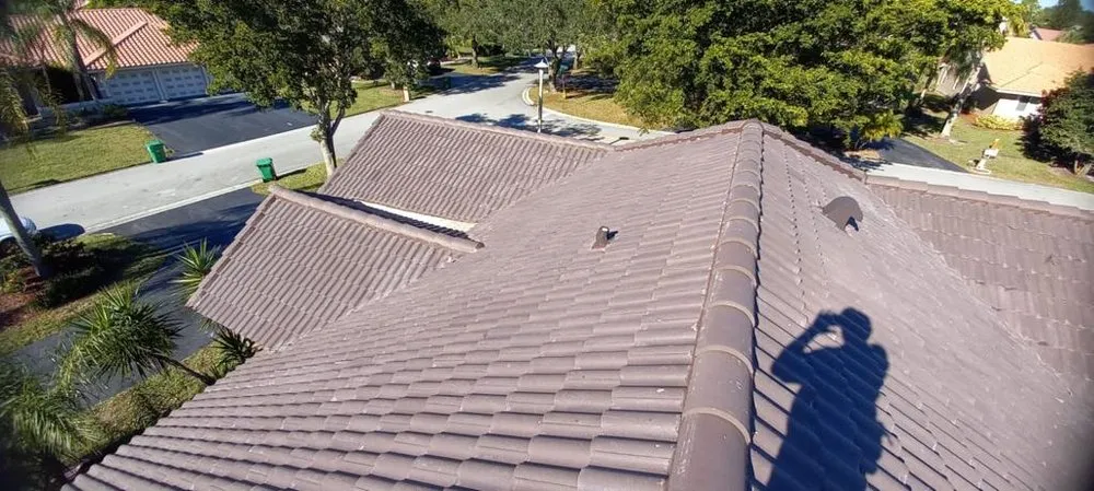 Slide of Roof Giants