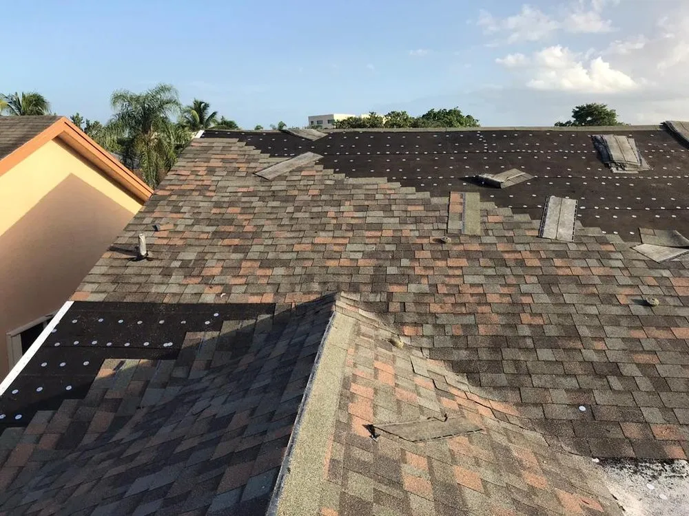 Slide of Roof Giants