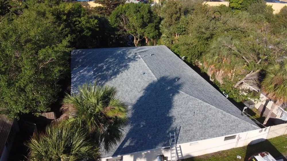 Slide of Roof Giants