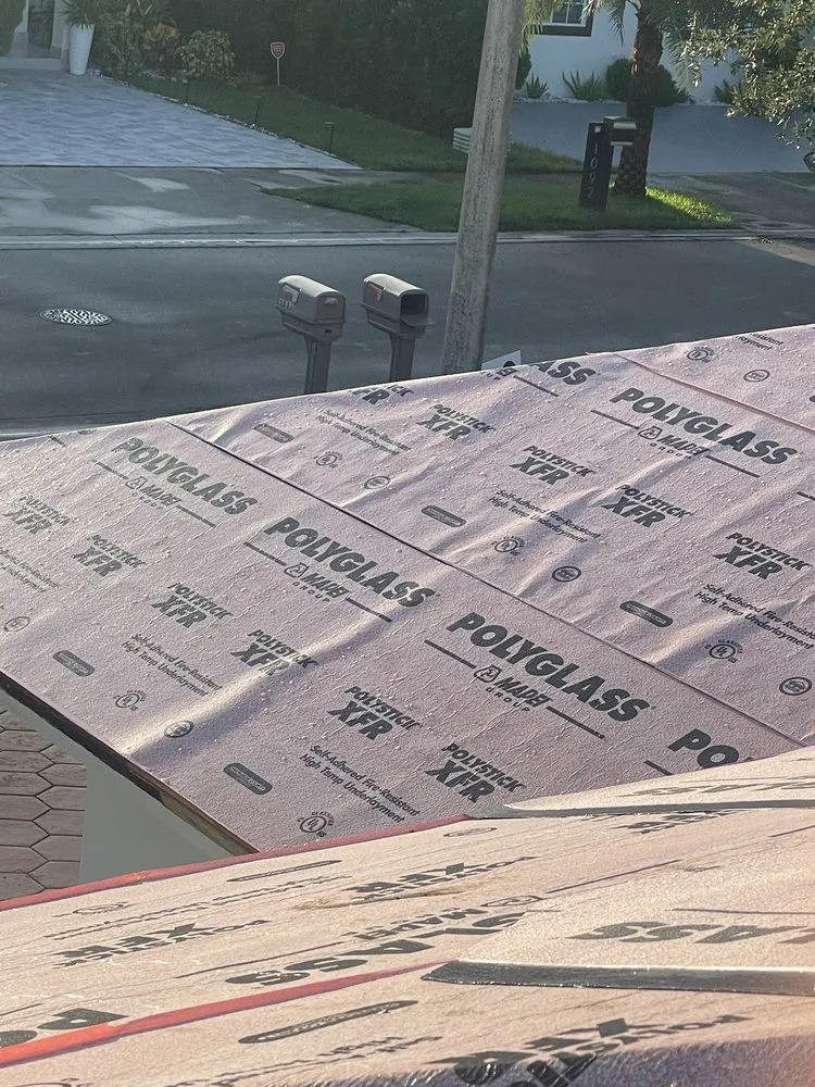 Slide of Roof Giants