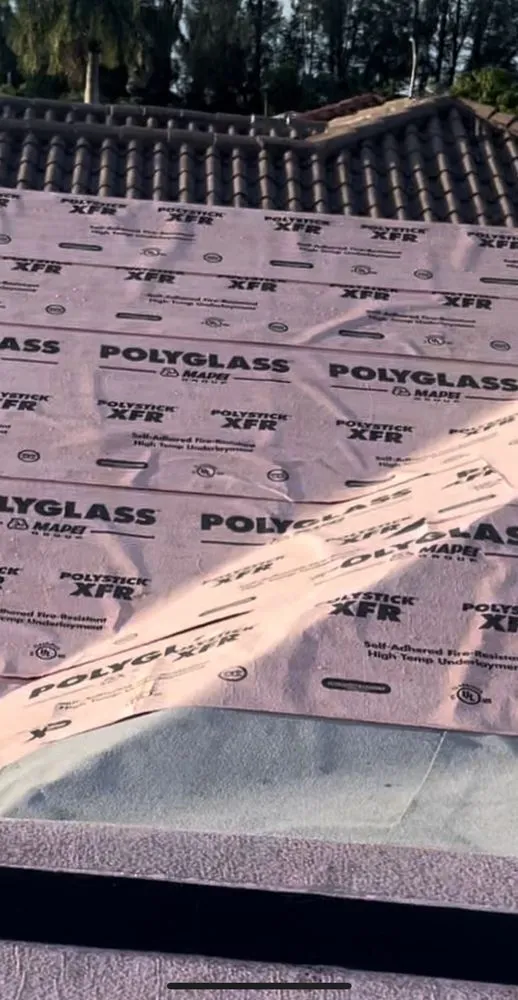 Slide of Roof Giants