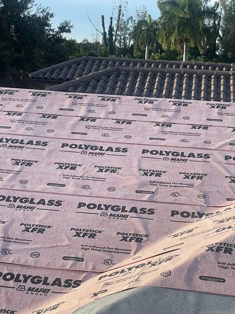 Slide of Roof Giants