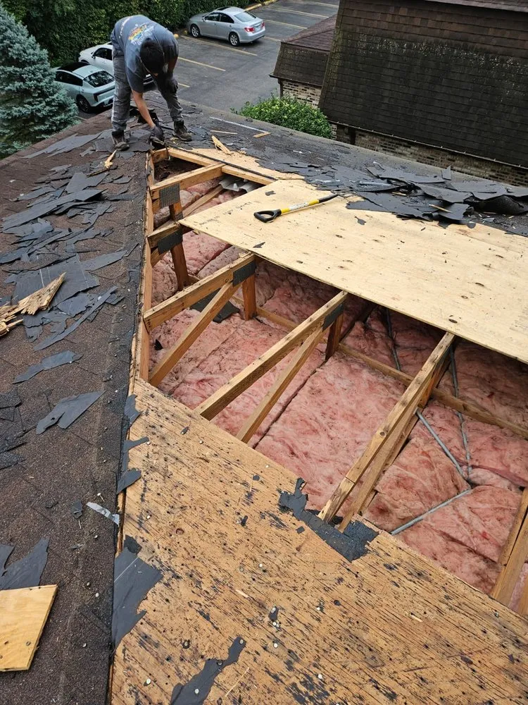 Slide of Roof Harbor