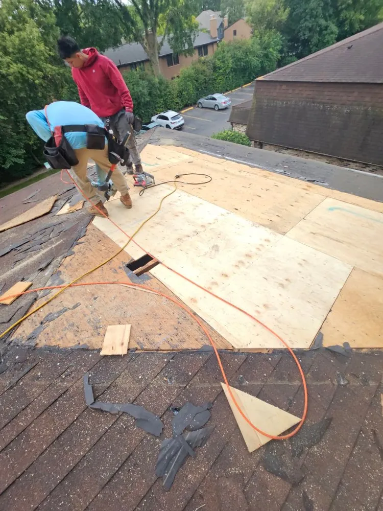 Slide of Roof Harbor