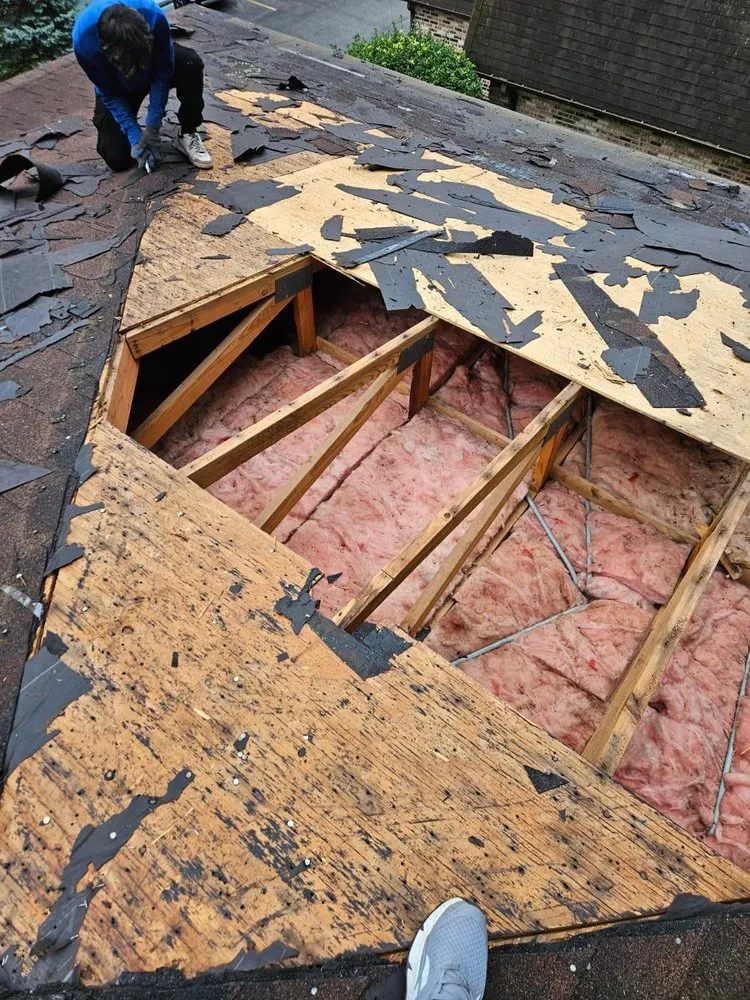 Slide of Roof Harbor