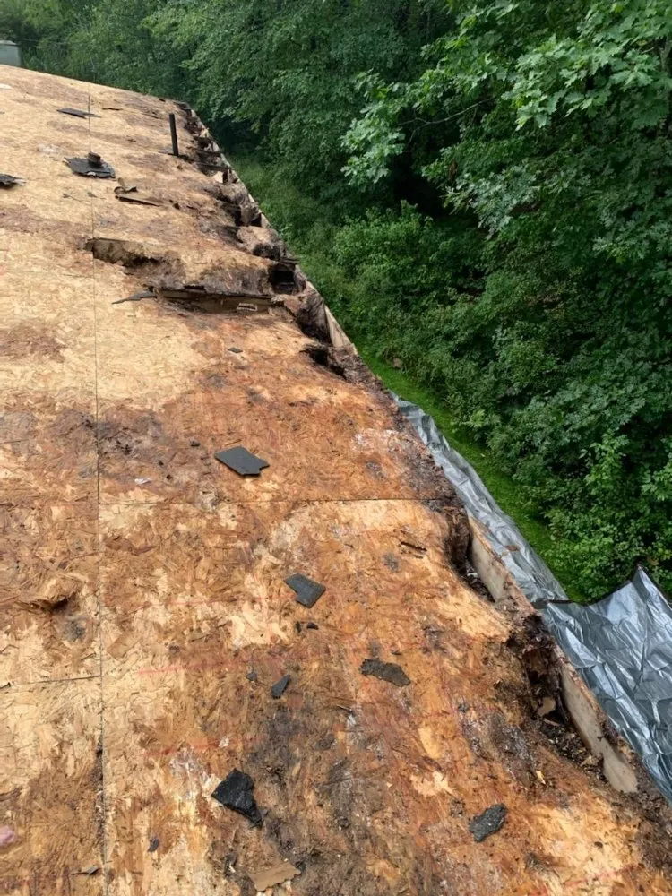 Slide of Roof Hunter