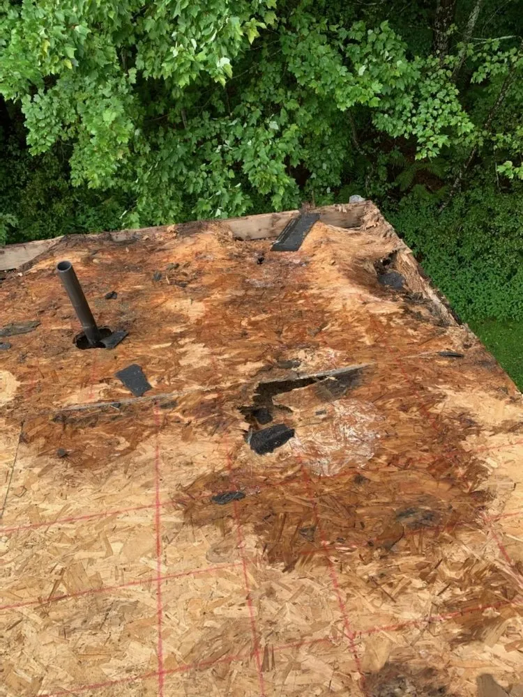 Slide of Roof Hunter