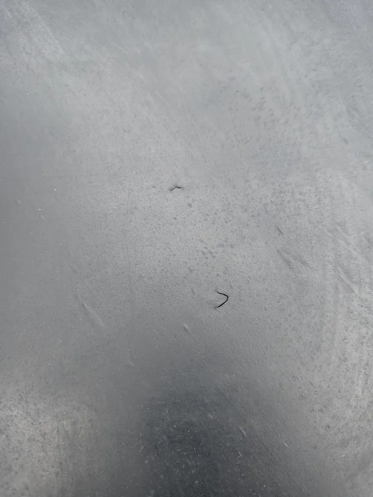 Slide of Roof Hunter