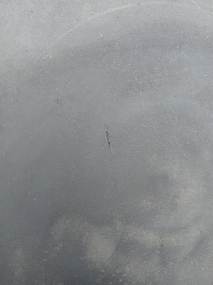 Slide of Roof Hunter