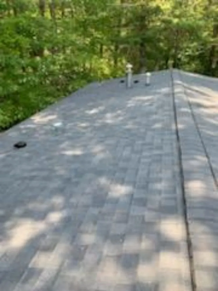 Slide of Roof Hunter