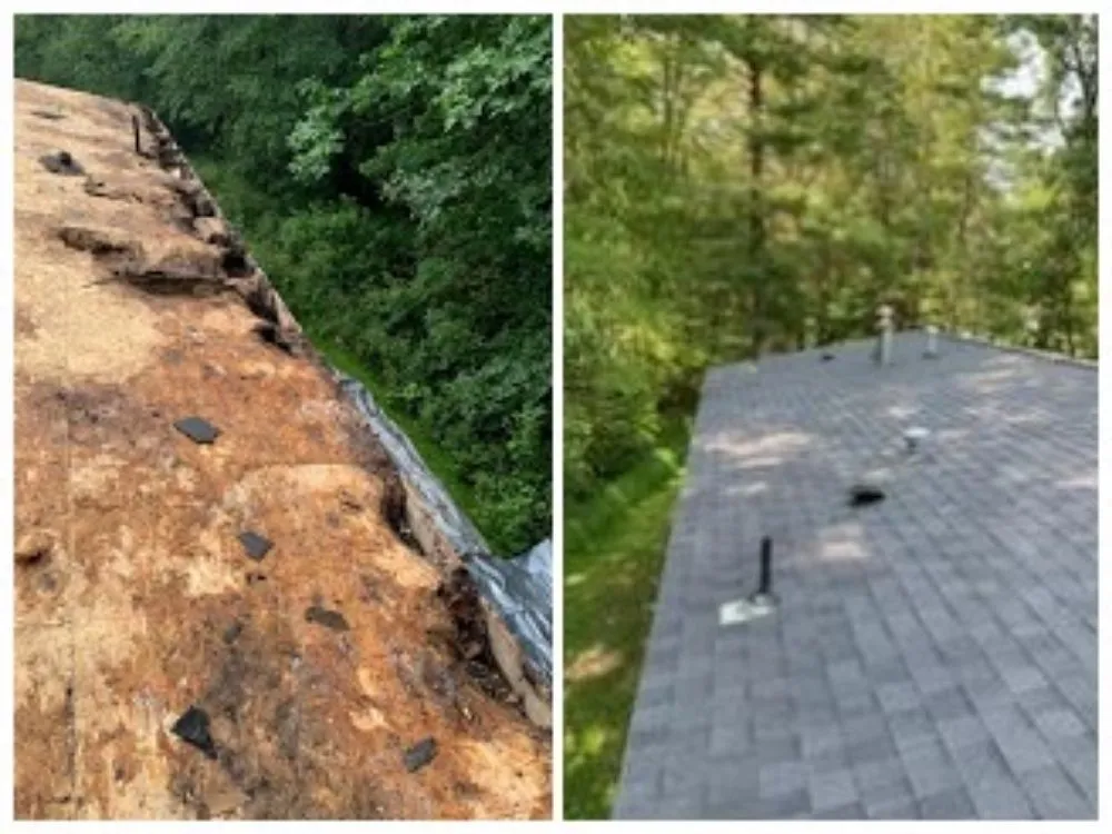 Slide of Roof Hunter