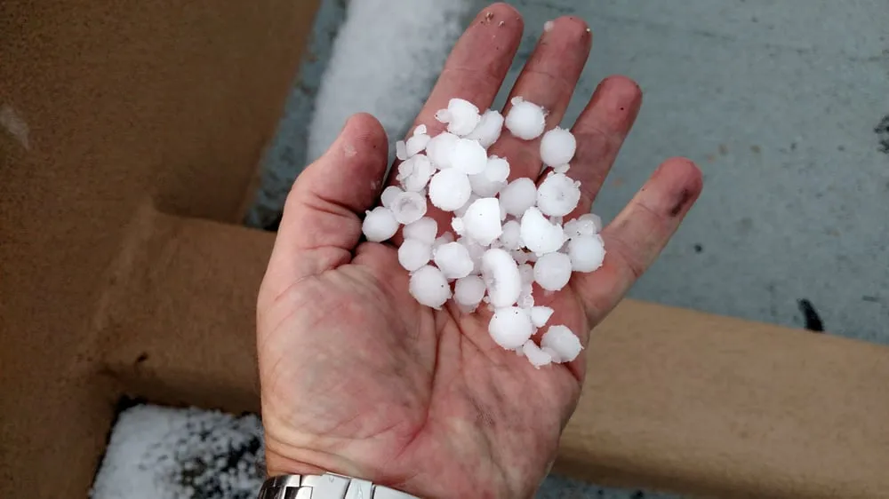 Slide of Roof Inspector NM