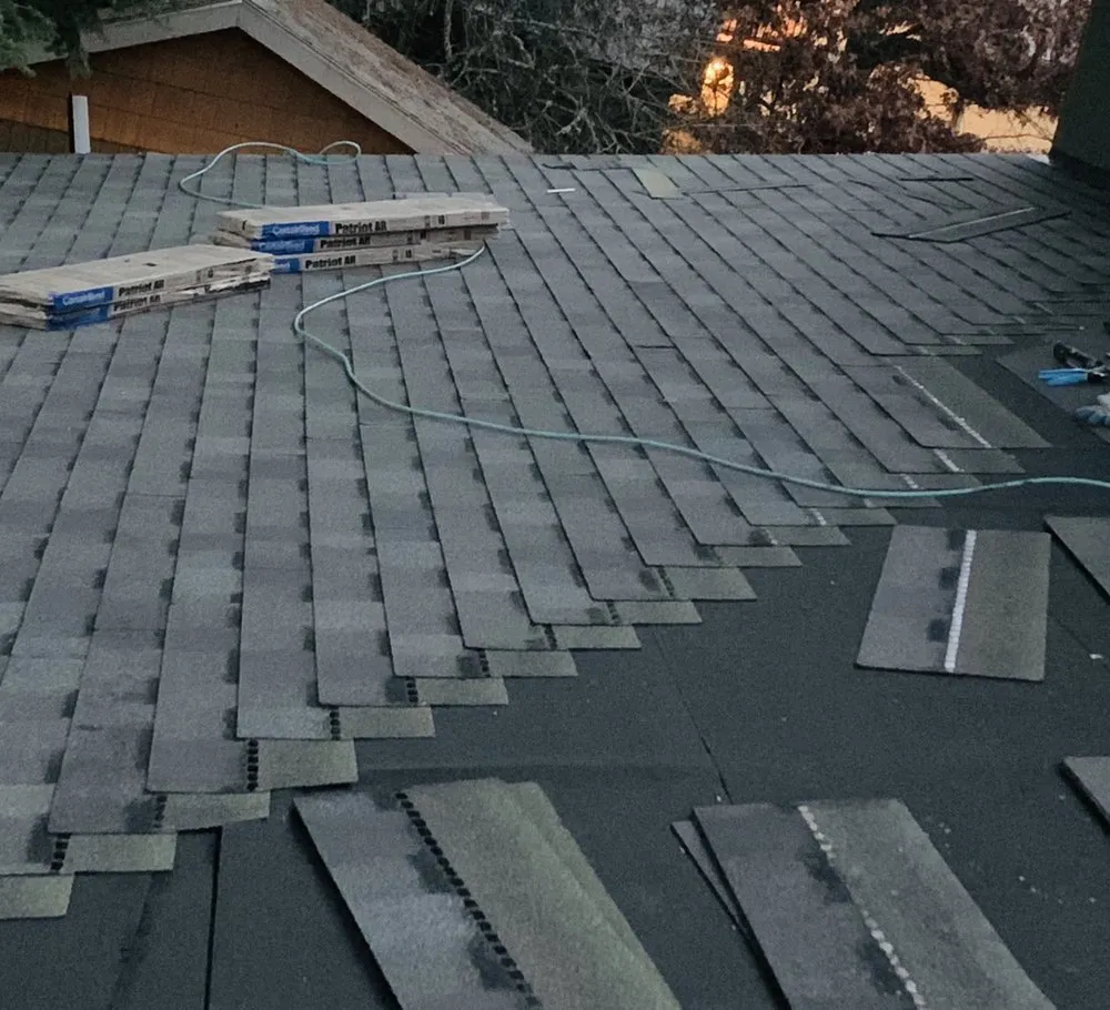 Slide of Roof It All