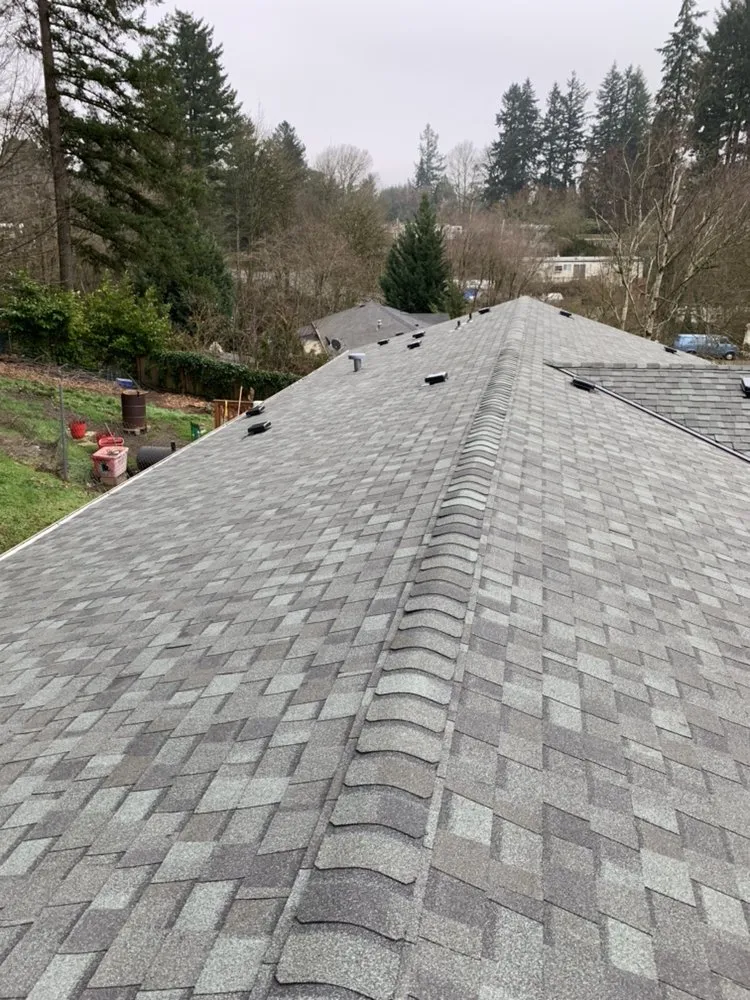 Slide of Roof It All