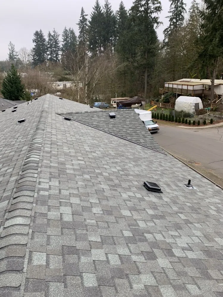 Slide of Roof It All