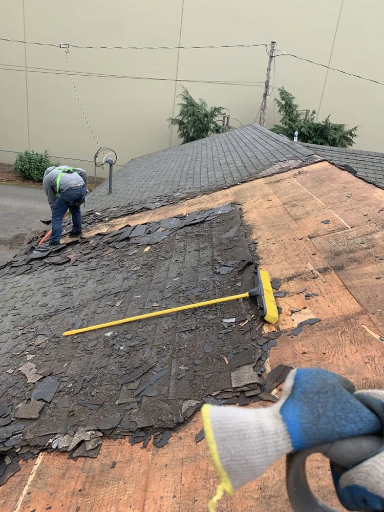 Slide of Roof It All